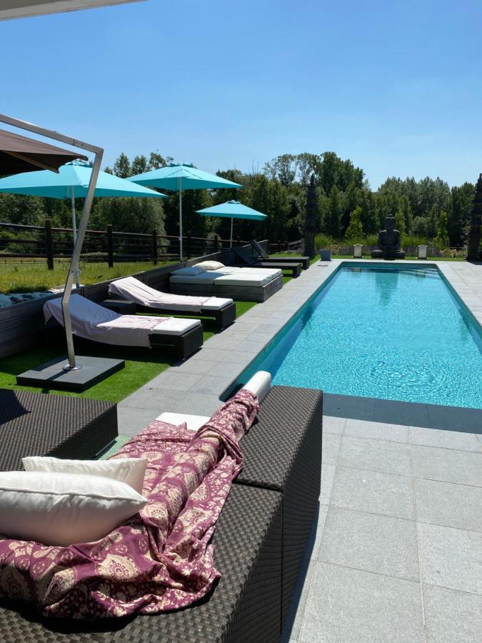 B&B La Douceur De La Miclette Ellezelles Экстерьер фото