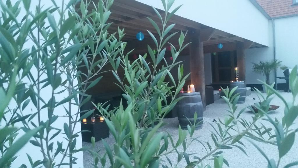 B&B La Douceur De La Miclette Ellezelles Экстерьер фото